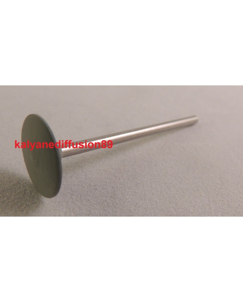 Brossette gomme silicone verte lentille 14.5 × 2.5 mm