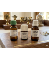 PASSION HORLOGERIE – Kit pendulerie