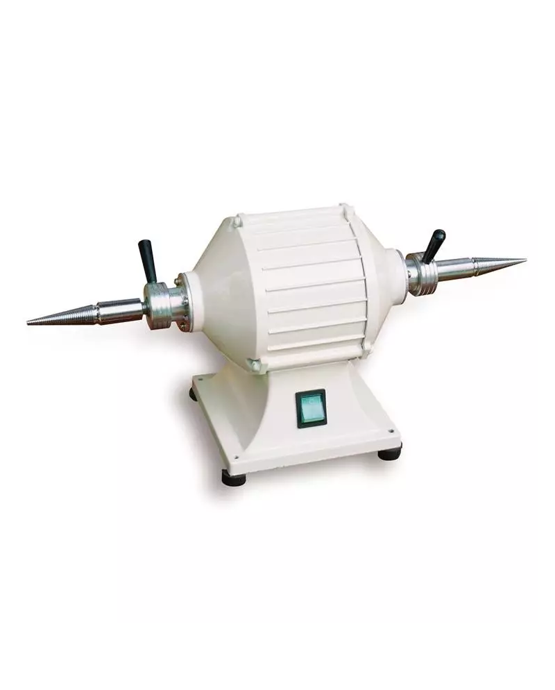 Touret à polir professionnel 220V