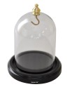 Cloche de présentation pour montre gousset - socle noir