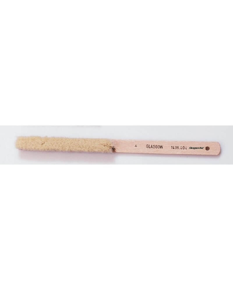 AUGUSTA – Brosse Glasgow 4 rangs nettoyage intensif pièces