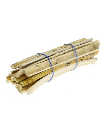 HOROTEC – Bois gentiane polissage lot 10 pièces