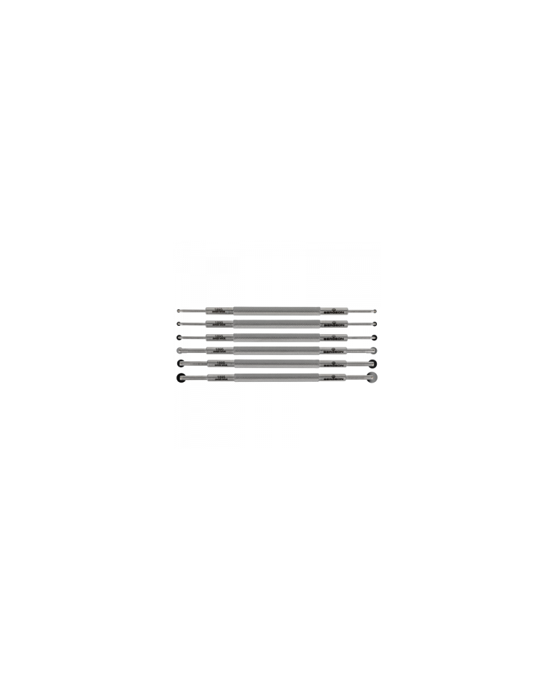 BERGEON 1895-P06 – Assortiment 6 fraises roulettes doubles