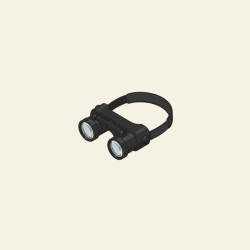 Loupe binoculaire